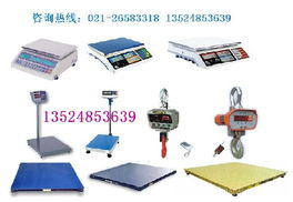 如何選擇專業(yè)的電子秤供應商 品質、優(yōu)惠與技術服務的均衡之道